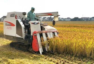 32095321f2d77cf858d61b4235858012